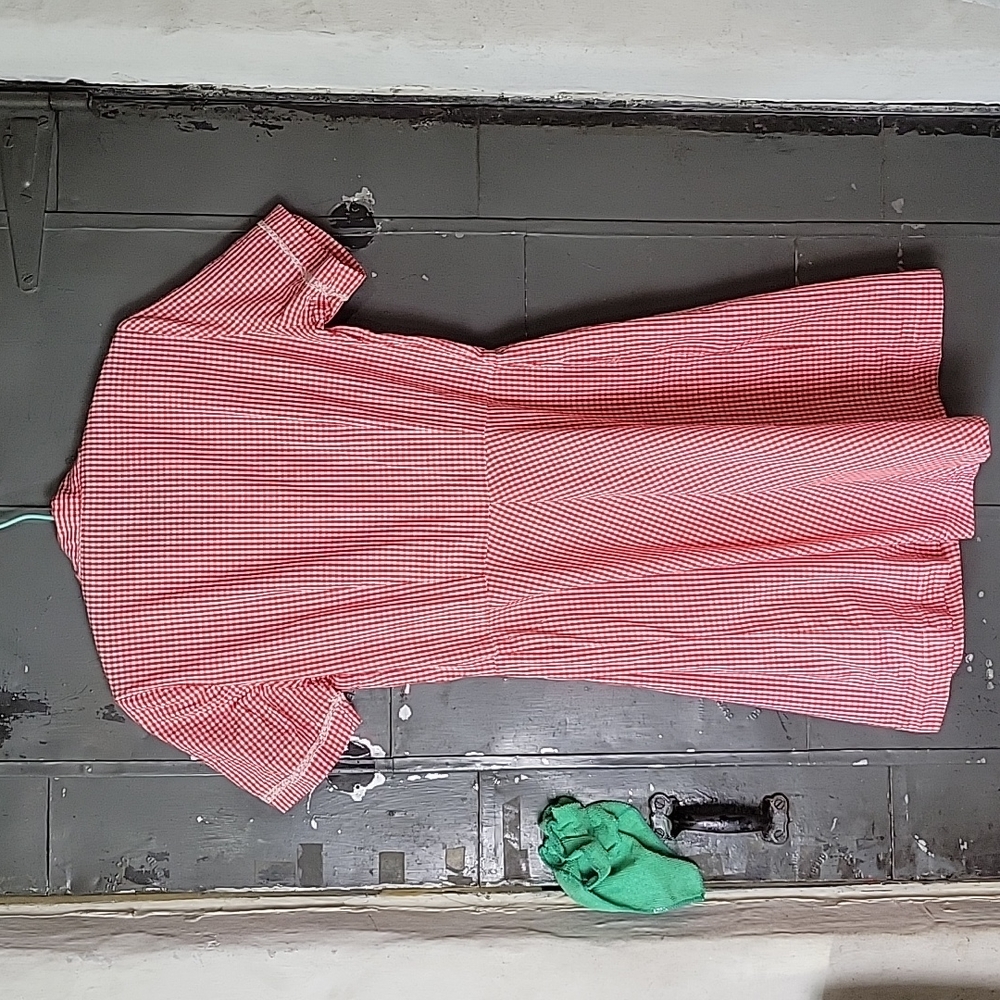 Vintage Gingham Dress - Picture 12 of 13